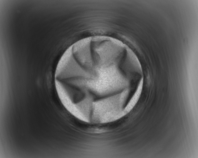 X0000087620498200705252005