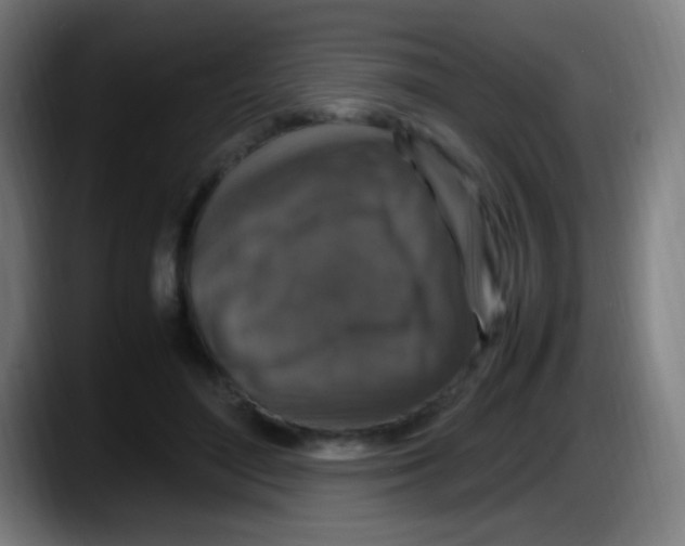 X0000087620500200705252005