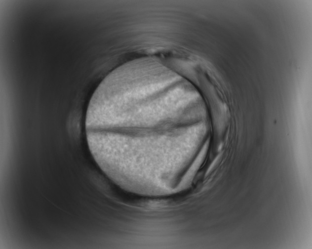 X0000087620501200705252005