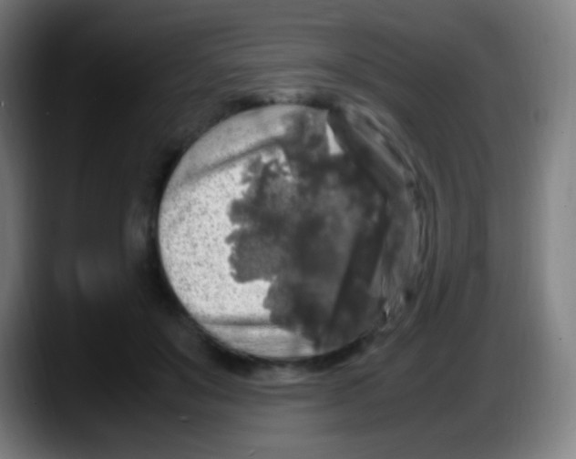 X0000087620503200705252005