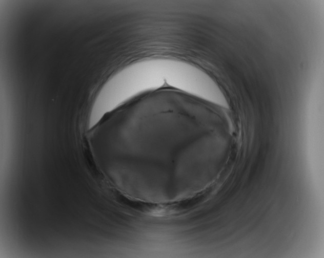 X0000087620504200705252005
