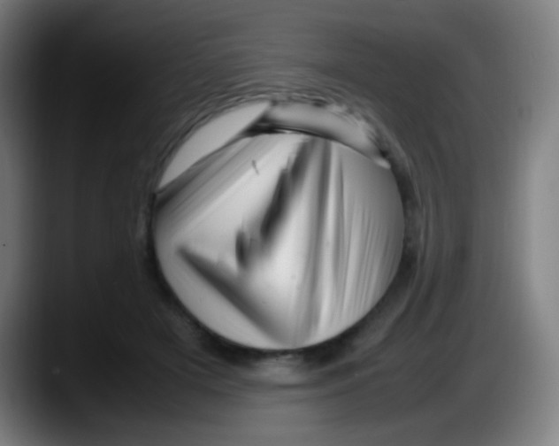 X0000087620505200705252005