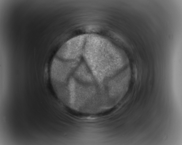 X0000087620506200705252005