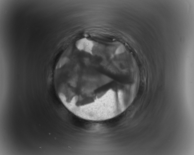 X0000087620507200705252005