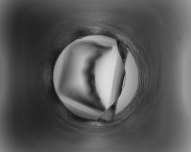 X0000087620509200705252005