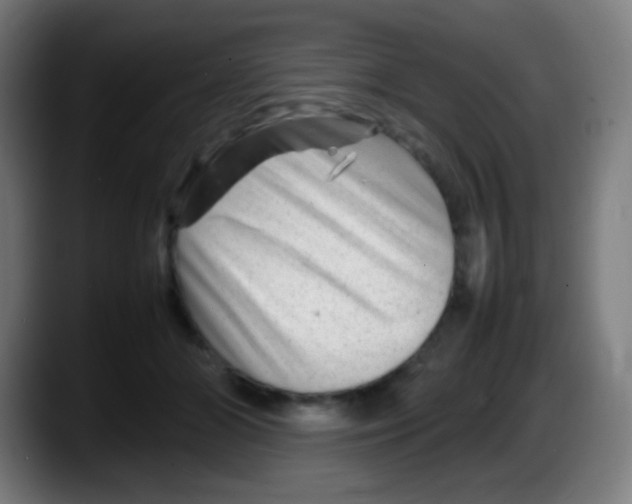 X0000087620510200705252005