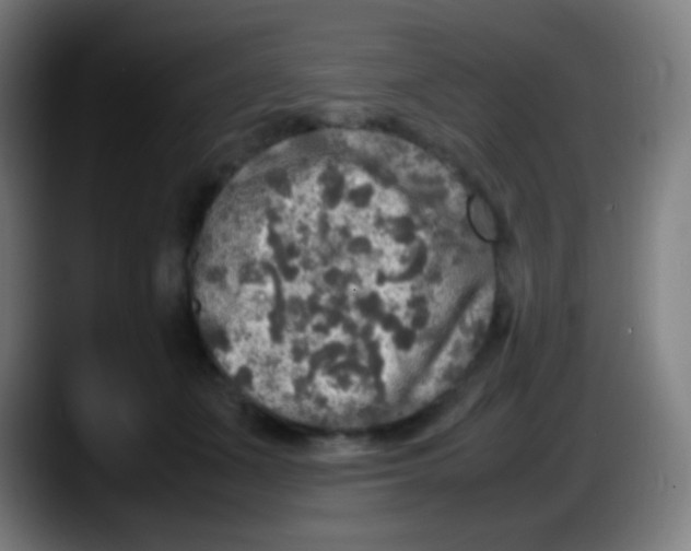 X0000087620511200705252005