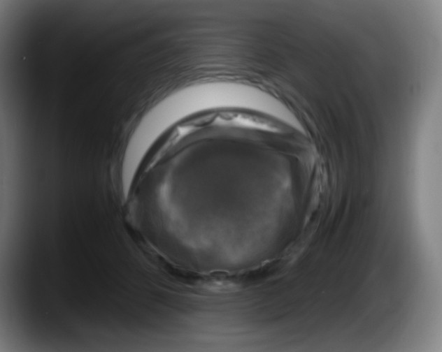 X0000087620512200705252005