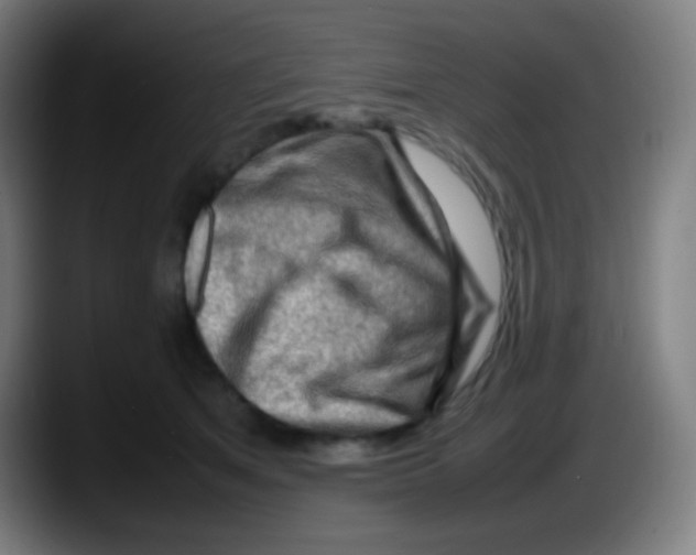 X0000087620513200705252005