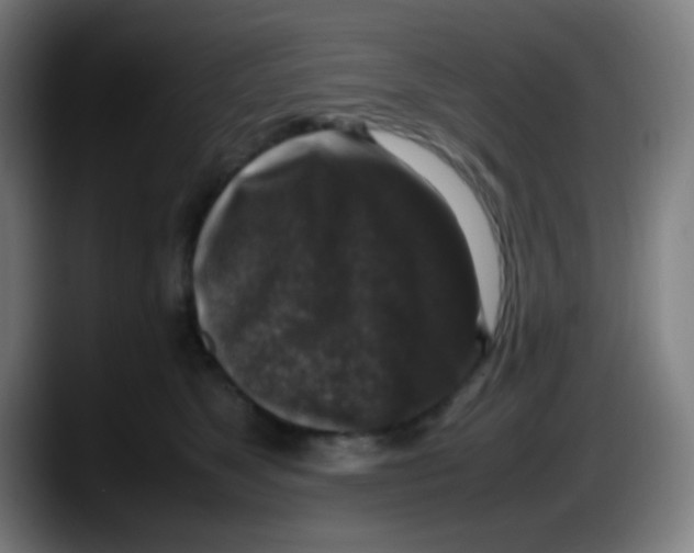 X0000087620517200705252005
