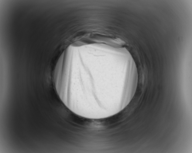 X0000087620518200705252005