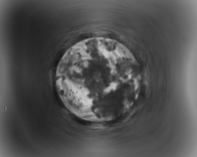 X0000087620519200705252005