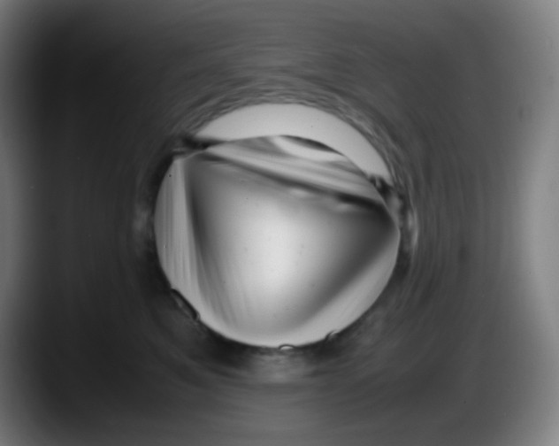 X0000087620521200705252005