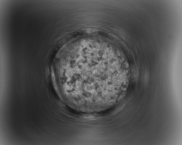 X0000087620523200705252005