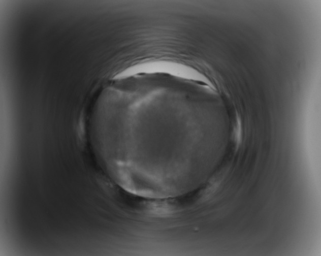 X0000087620524200705252005