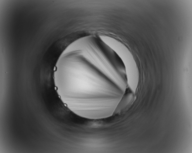 X0000087620525200705252005