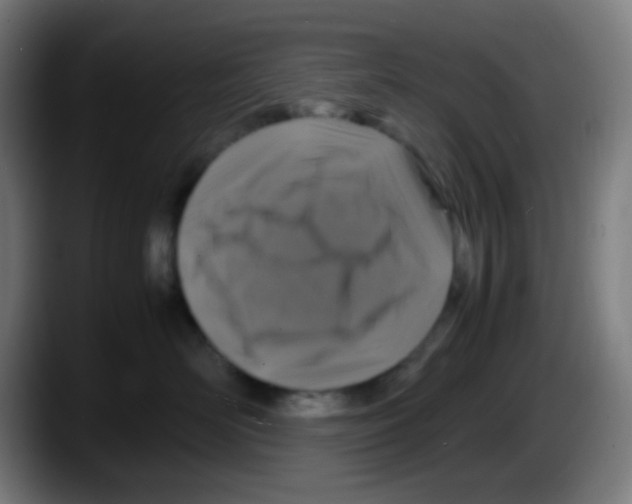 X0000087620526200705252005