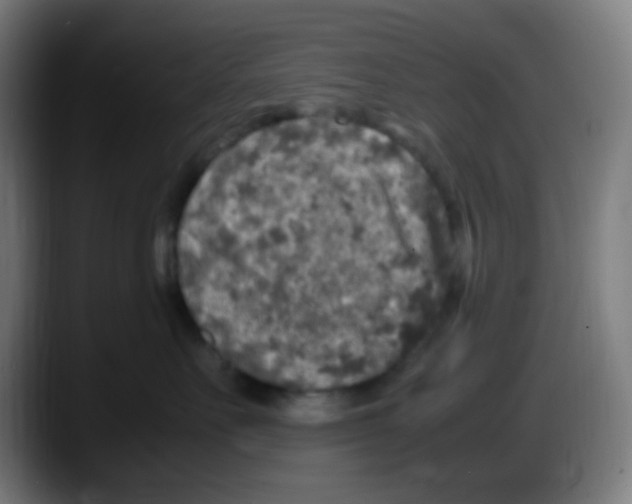 X0000087620527200705252005