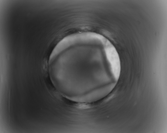 X0000087620528200705252005