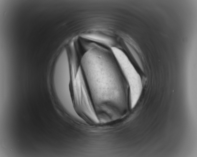 X0000087620530200705252004