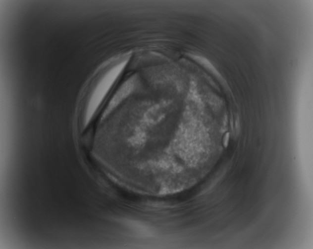 X0000087620531200705252004