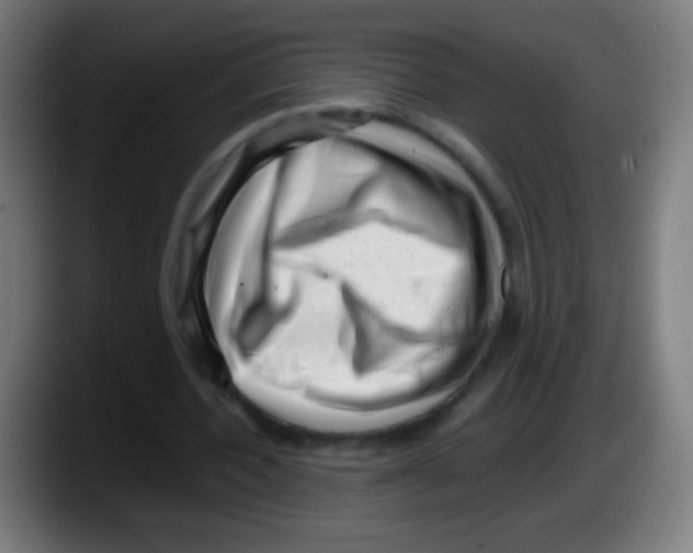 X0000087620532200705252004