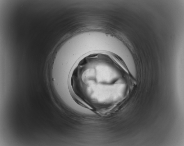 X0000087620534200705252004