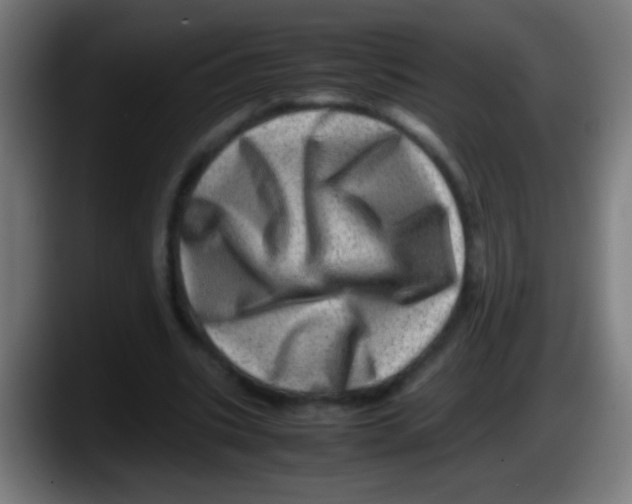 X0000087620535200705252004