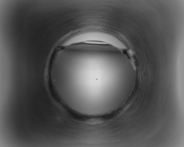 X0000087620536200705252004
