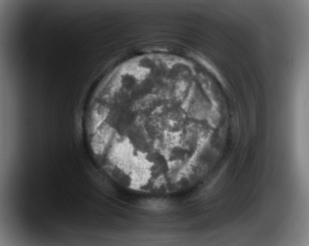 X0000087620537200705252004