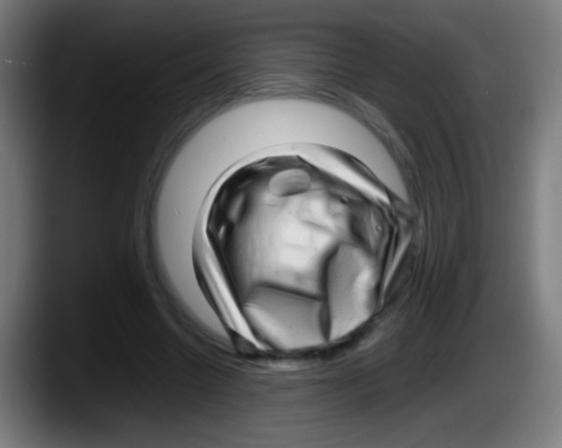 X0000087620538200705252004