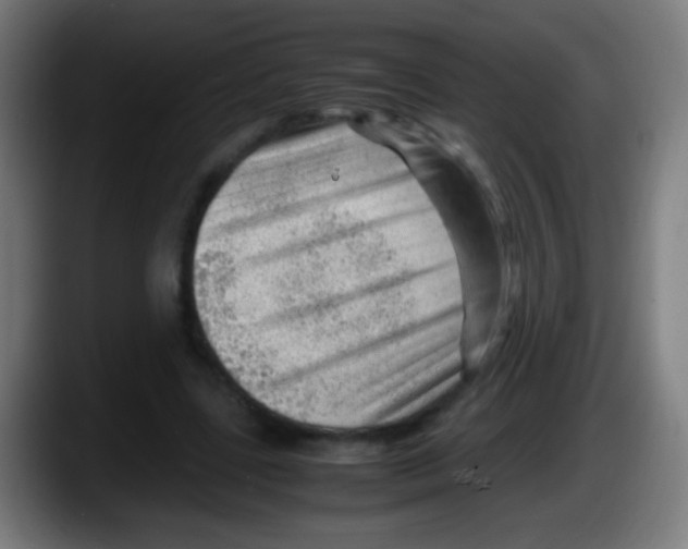 X0000087620539200705252004