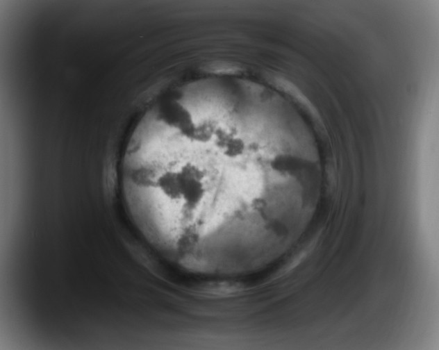 X0000087620541200705252004