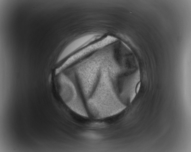 X0000087620543200705252004
