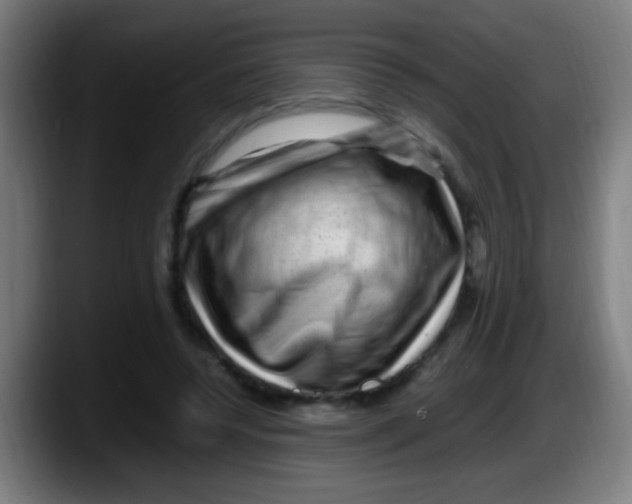 X0000087620544200705252004