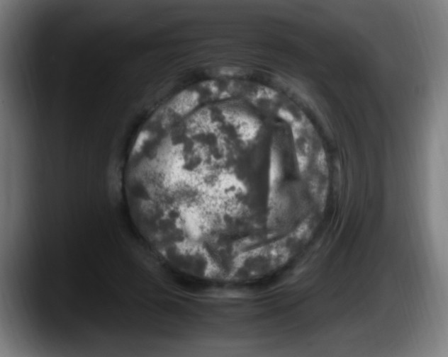 X0000087620545200705252004
