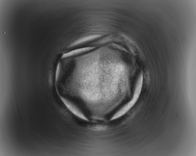 X0000087620546200705252004
