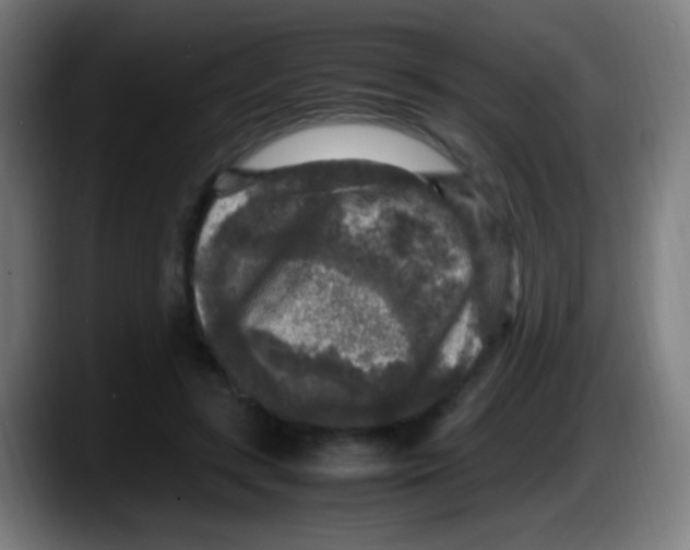 X0000087620547200705252004