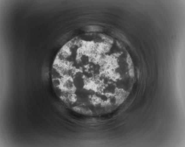 X0000087620549200705252004