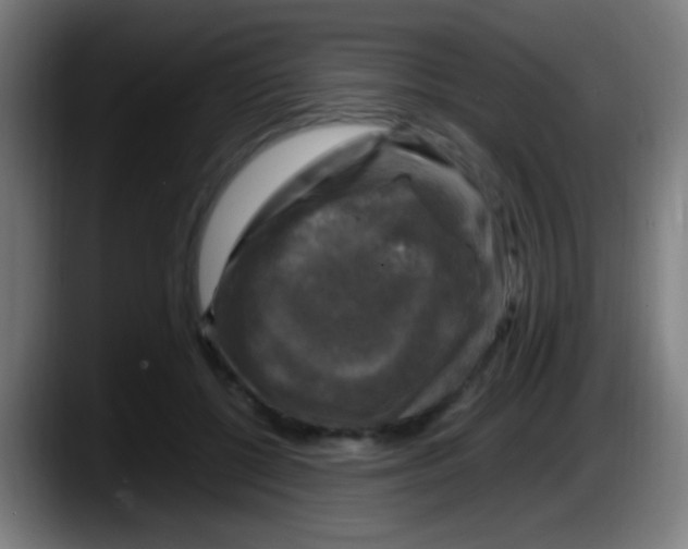 X0000087620552200705252004