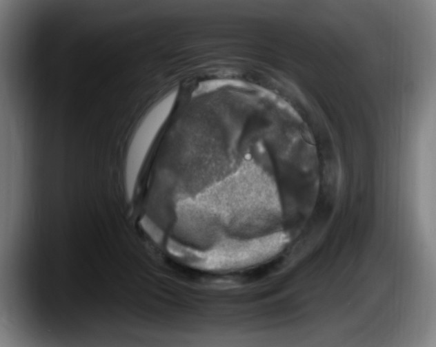 X0000087620553200705252004