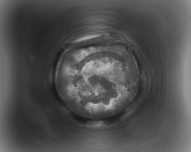 X0000087620554200705252005