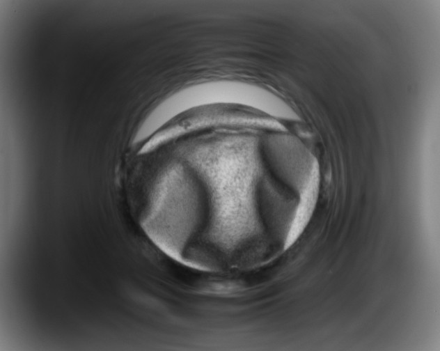 X0000087620555200705252005