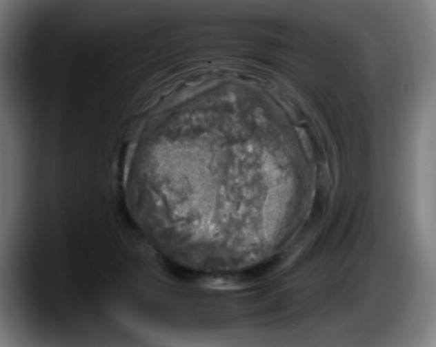 X0000087620557200705252005