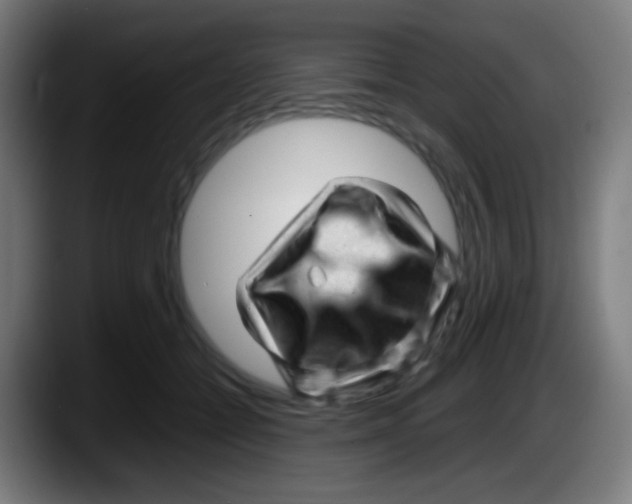 X0000087620558200705252005