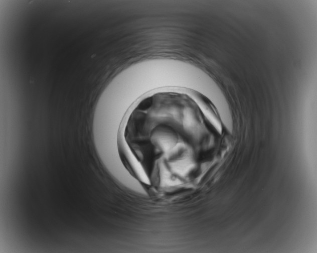 X0000087620560200705252005
