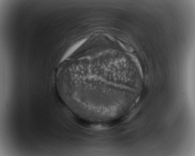 X0000087620561200705252005