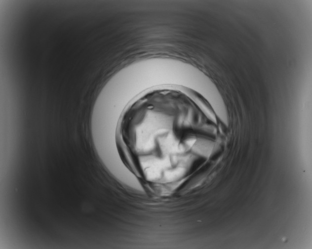 X0000087620562200705252005