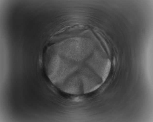 X0000087620564200705252005
