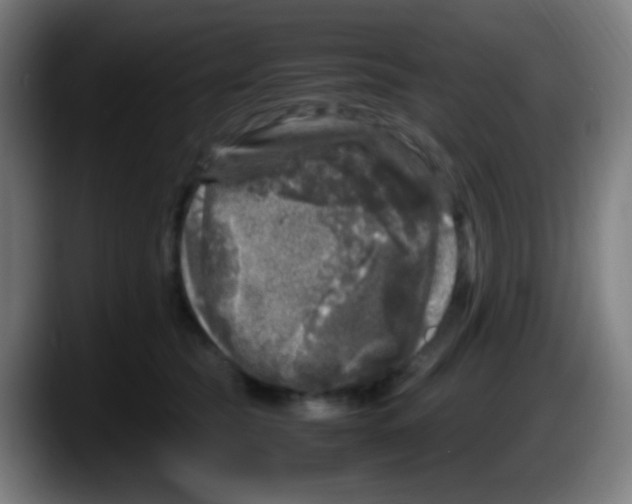 X0000087620565200705252005